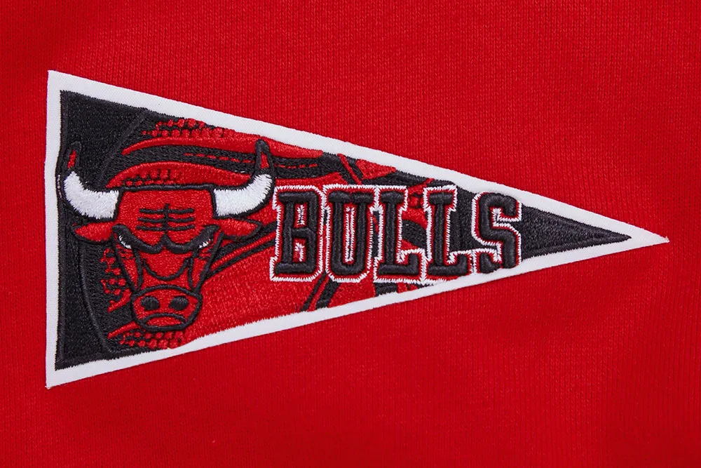 NBA CHICAGO BULLS CREST EMBLEM MEN'S RIB PO HOODIE (RED/BLACK)